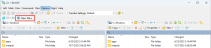 Screenshot of the "New Tab" section in WinSCP
